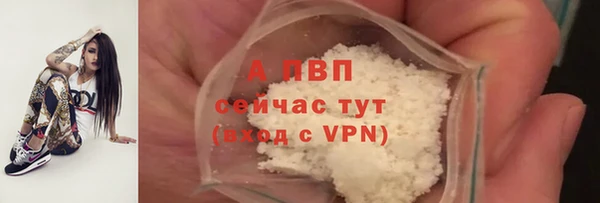 спайс Арсеньев