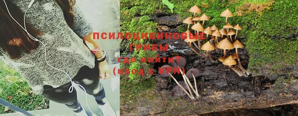 спайс Арсеньев