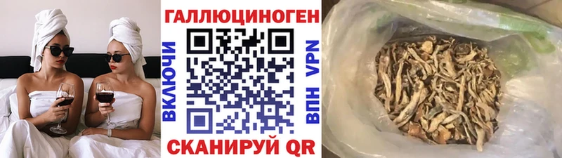 Псилоцибиновые грибы Cubensis кракен сайт Покровск